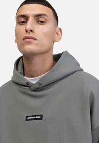 Redefined Rebel OLIVER HOOD BOXY FIT - Mikina - agave green