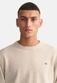 Beiger Rundhals-Pullover aus weichem Stoff, mit geripptem Kragen und einem kleinen gestickten Logo in Rot und Blau.