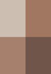 Color (1)
