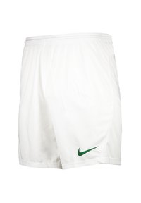 DRY PARK III - Pantaloncini sportivi - weissgruen
