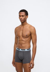 Sivé boxerky s jemnou textúrou, s kontrastným čiernym pásom s nápisom "PUMA" v bielej farbe, navrhnuté v priliehavom strihu.