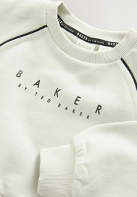 Gai pelēks džemperis ar ribotām apkaklītēm un piedurknēm. Priekšpusē ir melna printēta logo "BAKER by TED BAKER", kas ir centrēta. Gluda tekstūra.