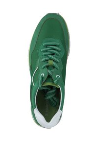 Grüne Sneaker mit Obermaterial aus Canvas, runder Zehenform, grünen Schnürsenkeln, weißen Akzenten an Ferse und Zunge, strukturiertem Sohlen und gepolstertem Kragen für Komfort.