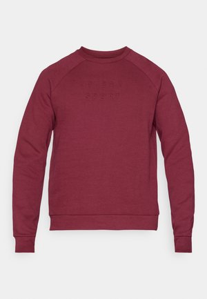 Bordowa bluza z okrągłym dekoltem, długimi raglanowymi rękawami i wytłoczonym logo "Ted Baker Sport" z przodu. Gładka tkanina z bawełnianym dodatkiem.