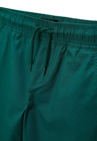 Shorts en tissu extensible vert avec une taille élastique, fermeture à cordon et une poche latérale. Texture lisse et design décontracté.