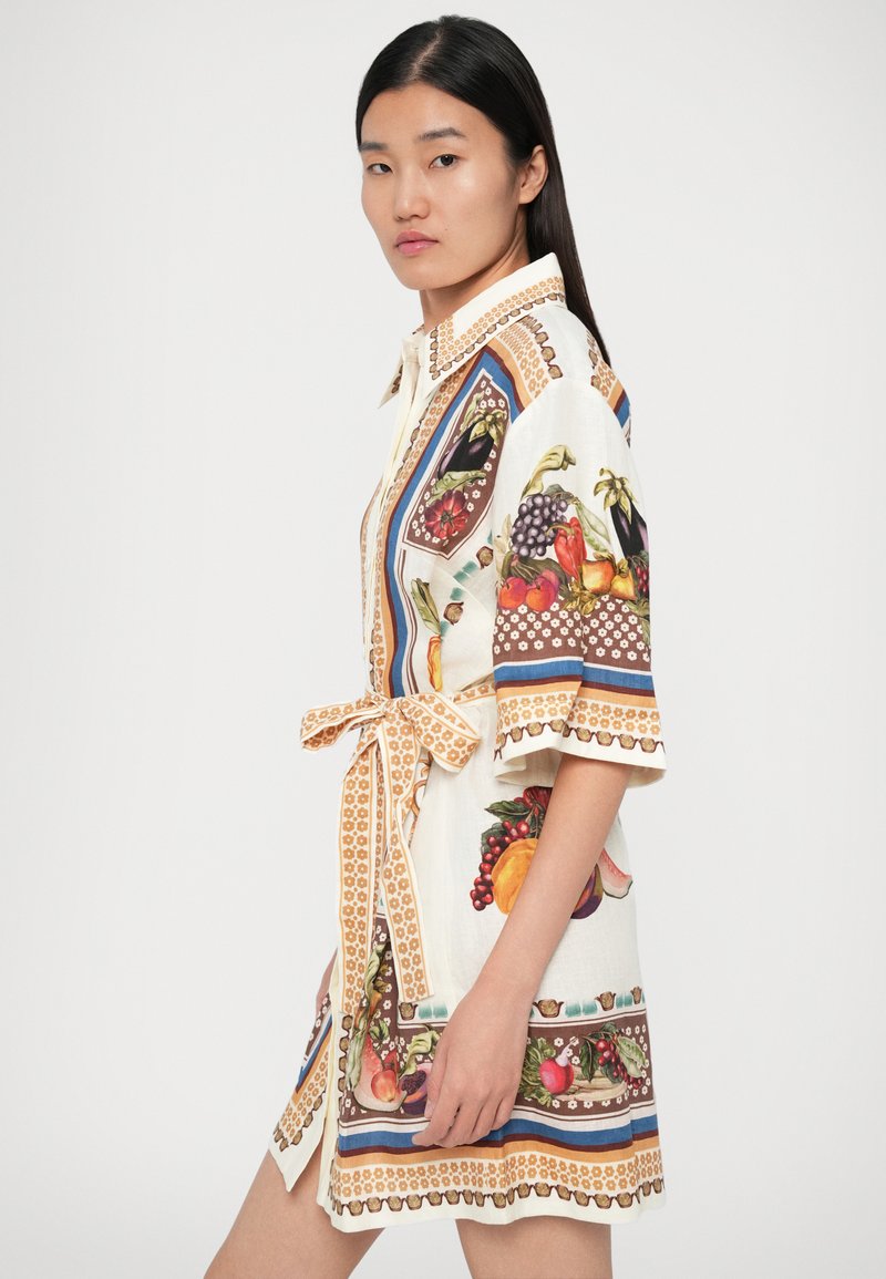 sachin and babi light blue dress ALEMAIS Sandy Embroidered Shirtdress