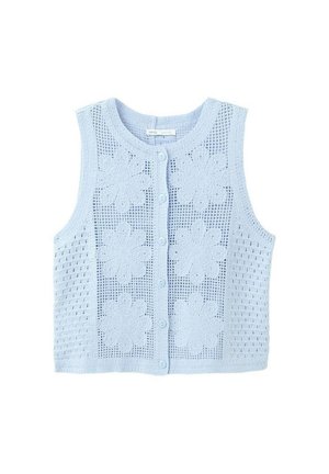 Veste sans manches en crochet bleu clair avec des boutons sur le devant et un motif floral sur fond en maille.