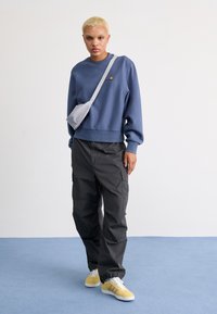Carhartt WIP AMERICAN SCRIPT - Sweatshirt - positano
