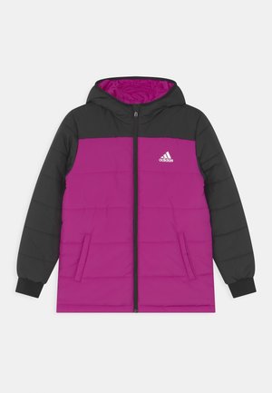 PADDED UNISEX - Winterjas - sonic fuchsia/black/white