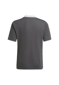 Szara koszulka polo z krótkimi rękawami, z białym kołnierzykiem. Gładka faktura i prosty design, bez widocznych wzorów czy akcentów.