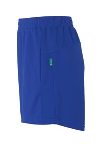 Kurze blaue Sportshorts aus atmungsaktivem Material, mit elastischem Bund und einer Seitentasche mit grünem Etikett.
