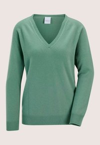 Grüner langärmeliger V-Ausschnitt-Pullover mit geripptem Kragen, Bündchen und Saum, auf einem neutralen Hintergrund präsentiert.
