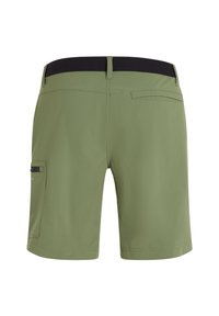 O'Neill SERIES STRETCH - Peldēšanas šorti - deep lichen green