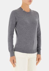 Maglione grigio in maglia con maniche lunghe e scollo rotondo, caratterizzato da polsini e orlo a costine. Dettaglio del logo discreto sul petto.