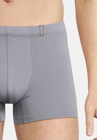Boxer di colore grigio con un design aderente, cintura elastica con un piccolo logo, e una texture liscia. Dettagli delle cuciture visibili.