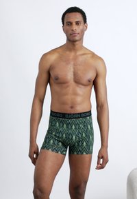 Zelené boxerky s vzorem a černým pasem s nápisem "BJÖRN BORG". Elastická látka se vzorem cikcak, přiléhavý střih.