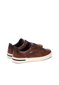 Pikolinos XATIVA - Baskets basses - brown