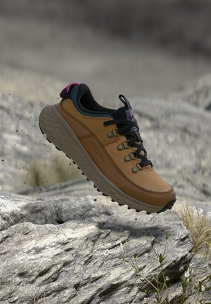 Columbia TERRASTRIDE BC - Παπούτσια πεζοπορίας - elk/foxglove
