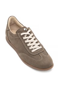 Brązowy zamszowy tenisówka z białymi sznurowadłami, zaokrąglonym czubkiem i kontrastującym przeszyciem. Miękka wyściółka wewnętrzna i gumowa podeszwa.