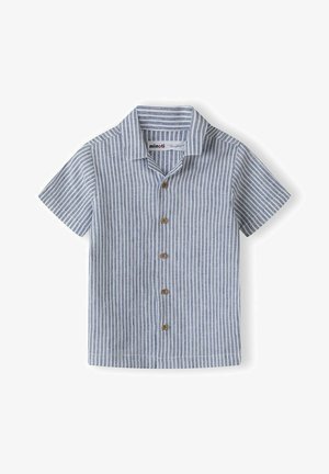 Īsām piedurknēm pogājama krekla gaiši zilā un baltā vertikālā svītrā, ar brūnām koka pogām un apkakli. Mīksta, teksturēta auduma.