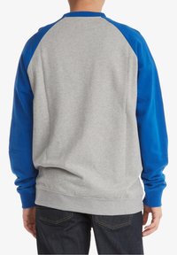 Szara bluza z niebieskimi rękawami raglanowymi, ściągaczami na mankietach i dolnym brzegu. Miękki materiał o fakturowanym wykończeniu. Widok od tyłu podkreśla kontrastujące kolory.