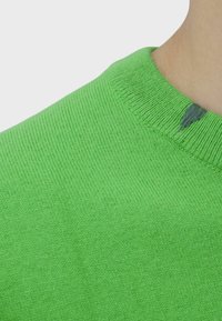 Maglione lavorato a maglia verde brillante con scollatura rotonda. Presenta una texture liscia e una leggera costina sul colletto. Piccolo dettaglio grigio sul retro.
