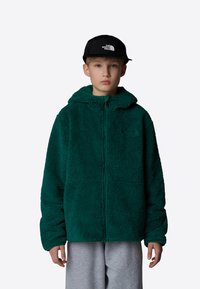 The North Face CAMPSHIRE - Forro polar - evergreen