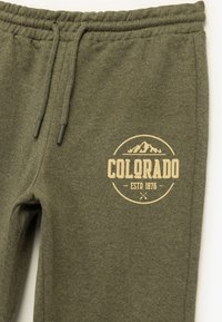 Grønne sweatpants lavet af blødt stof, med elastisk talje, snoretræk og et lysfarvet "Colorado" logo med bjerggrafik.
