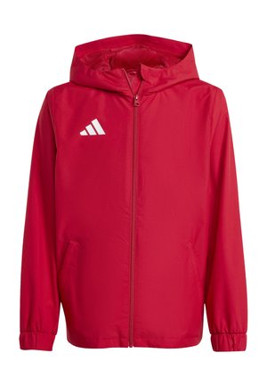 adidas Performance, ENTRADA26 ALL WEATHER, czerwony