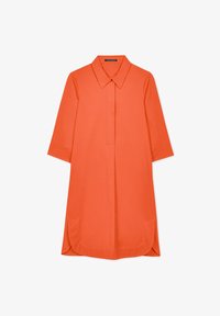 Ausgewählt, hibiscus