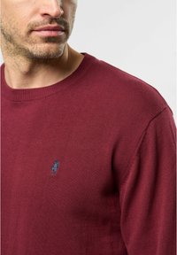 Mann in einem kastanienbraunen Strickpullover mit einem kleinen dunklen gestickten Logo auf der linken Brust, sichtbar vom Hals bis zum oberen Oberkörper.