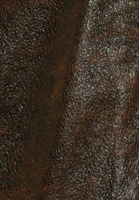 Minimum TYRA  - Giacca di pelle - seal brown