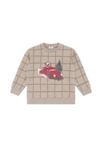 Felpa beige con motivo a griglia, caratterizzata da una grafica di un orso in una macchina rossa con un albero. Polsini e collo a costine. Tessuto morbido.