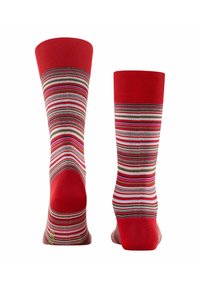 FALKE MICROBLOCK - Calze - red (8229)