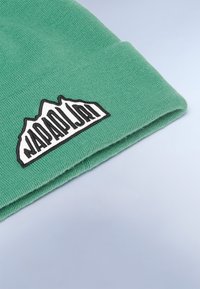 Beanie verde lavorato a maglia con risvolto, caratterizzato da una toppa logo bianca e nera raffigurante picchi montuosi. Tessuto texturizzato.