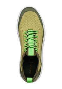 Zapatillas de malla en color verde lima y caqui, con una parte superior texturizada, cordones planos y una suela blanca. La marca es visible en la plantilla y la lengüeta.