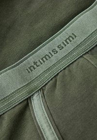 IUMAN Intimissimi Uomo STÜCKGEFÄRBTE BOXERSHORTS AUS ELASTISCHER SUPIMA® BAUMWOLLE - Boxerkalsong - grün j verde bosco del
