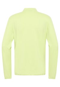 Helles grünes Langarmhemd aus glattem Stoff mit einem klassischen Kragen und geradem Schnitt. Keine sichtbaren Muster oder Akzente.