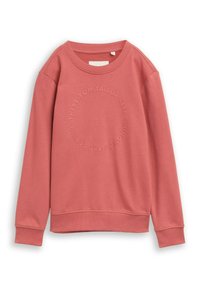 Roze sweatshirt met een ronde halslijn en lange mouwen. Heeft geperst tekst in een cirkelvormig patroon. Gemaakt van zacht, gestructureerd materiaal.