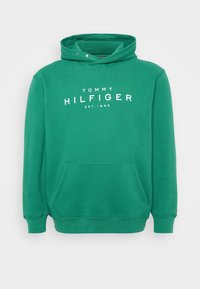 HOODY - Sweatshirt - nouveau green