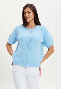 Light blue short-sleeve cardigan made of soft, fluffy material. Features a round neckline, six buttons, and subtle floral embroidery.