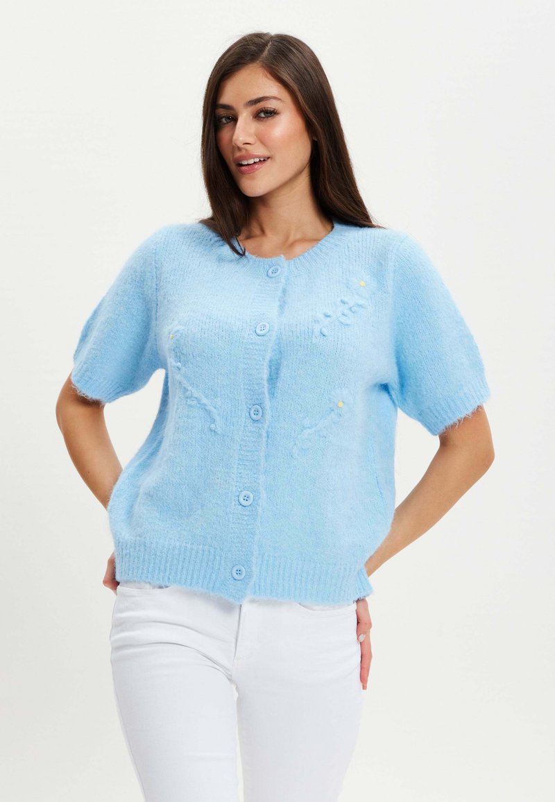 Light blue short-sleeve cardigan made of soft, fluffy material. Features a round neckline, six buttons, and subtle floral embroidery.