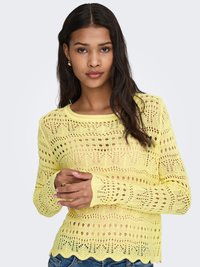 Vrouw met lang donker haar, gekleed in een geel gehaakt truitje en een blauwe spijkerbroek, met de handen gevouwen voor zich tegen een effen lichte achtergrond.