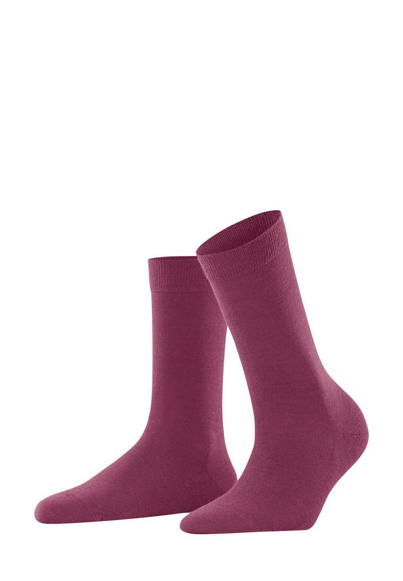 FALKE SOFTMERINO LINE - Socken - red plum