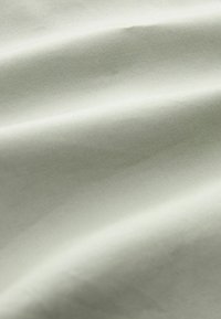 Next STRAIGHT FIT STRETCH CHINO - Kratke hlače - light green