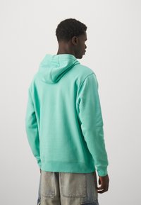 Nike Performance NBA CITY EDITION CHARLOTTE HORNETS HOODY - Sporto klubų atributika - mint/white