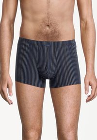 Mannelijke torso en bovenbenen dragen marineblauwe boxershorts met dunne witte verticale strepen op een eenvoudige witte achtergrond.
