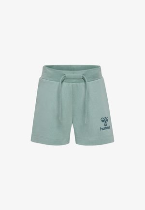 Mintgrüne Baumwollshorts mit elastischem Bund, Kordelzug und einem bedruckten Logo auf der linken Seite. Glatte Textur und lässiges Design.