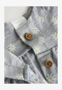 Selezionato, grey daisy flower