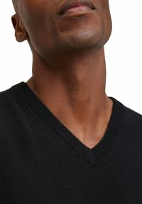 FALKE BASIC  V-NECK - Trui - black